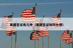 美国签证有几种（美国签证如何办理）