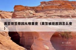 美签拒签原因从哪里查（美签被拒原因怎么查）