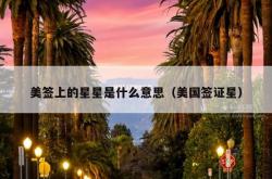 美签上的星星是什么意思（美国签证星）