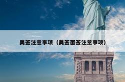 美签注意事项（美签面签注意事项）