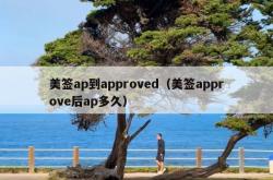 美签ap到approved（美签approve后ap多久）