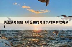 美签放号提醒（美签预约号什么时候会放出来）