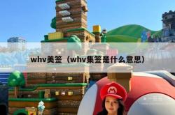 whv美签（whv集签是什么意思）