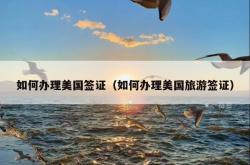 如何办理美国签证（如何办理美国旅游签证）