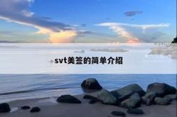 svt美签的简单介绍