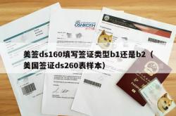 美签ds160填写签证类型b1还是b2（美国签证ds260表样本）