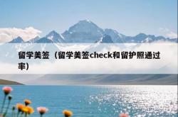 留学美签（留学美签check和留护照通过率）