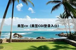 美签cv（美签CGI登录入口）
