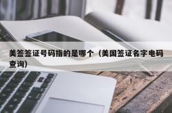 美签签证号码指的是哪个（美国签证名字电码查询）