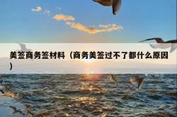 美签商务签材料（商务美签过不了都什么原因）