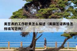 美签表的工作职责怎么描述（美国签证表格怎样填写范例）