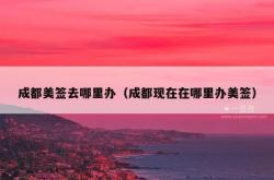 成都美签去哪里办（成都现在在哪里办美签）