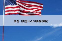 美签（美签ds160表格模板）
