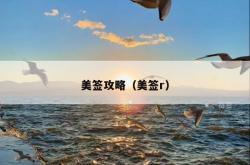 美签攻略（美签r）