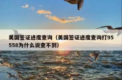 美国签证进度查询（美国签证进度查询打95558为什么说查不到）