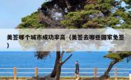 美签哪个城市成功率高（美签去哪些国家免签）