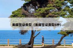 美国签证类型（美国签证类型8种）